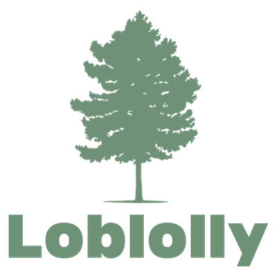 Loblolly